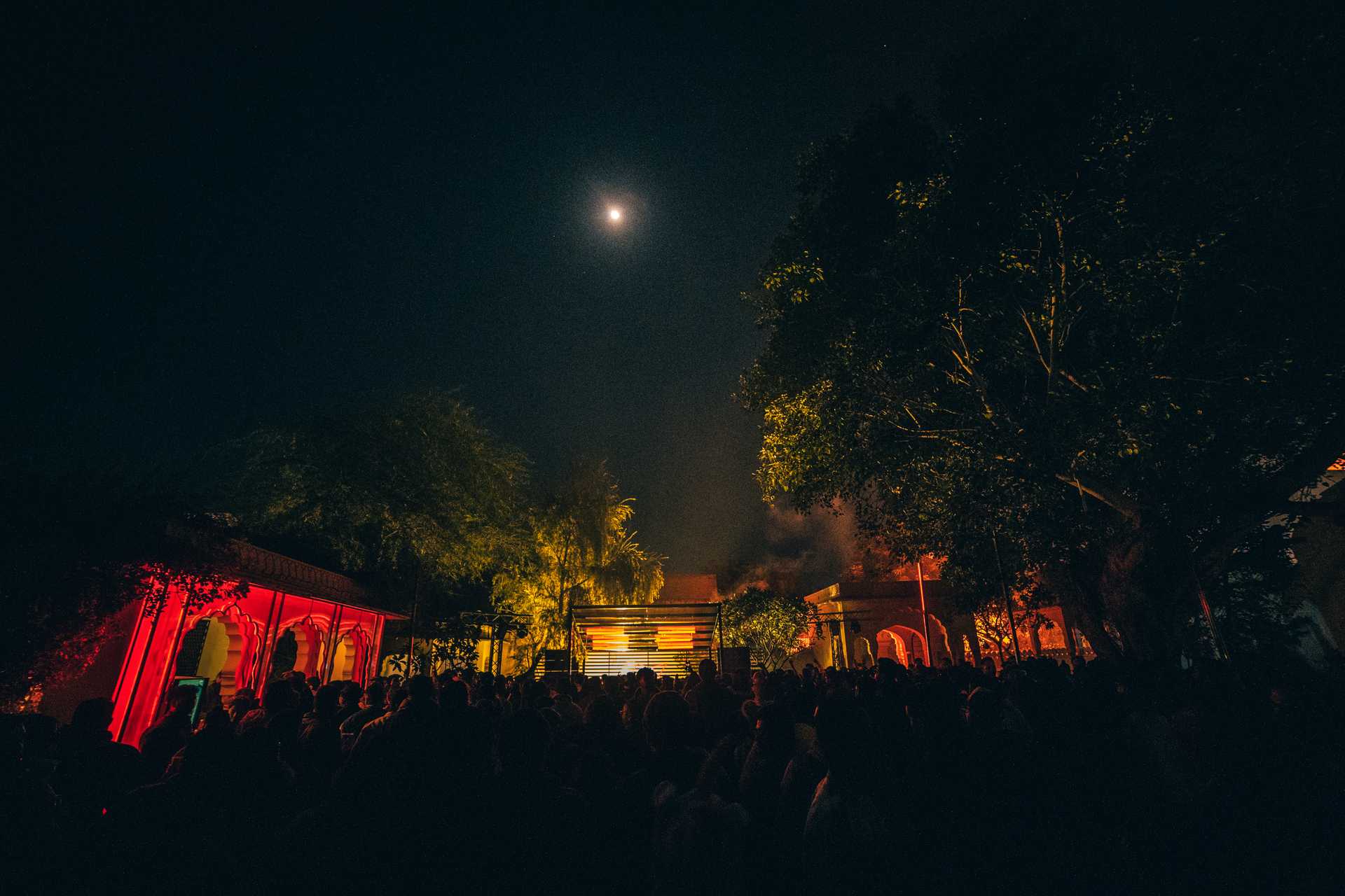 BUDxYARD at Magnetic Fields - Image - Wolfman